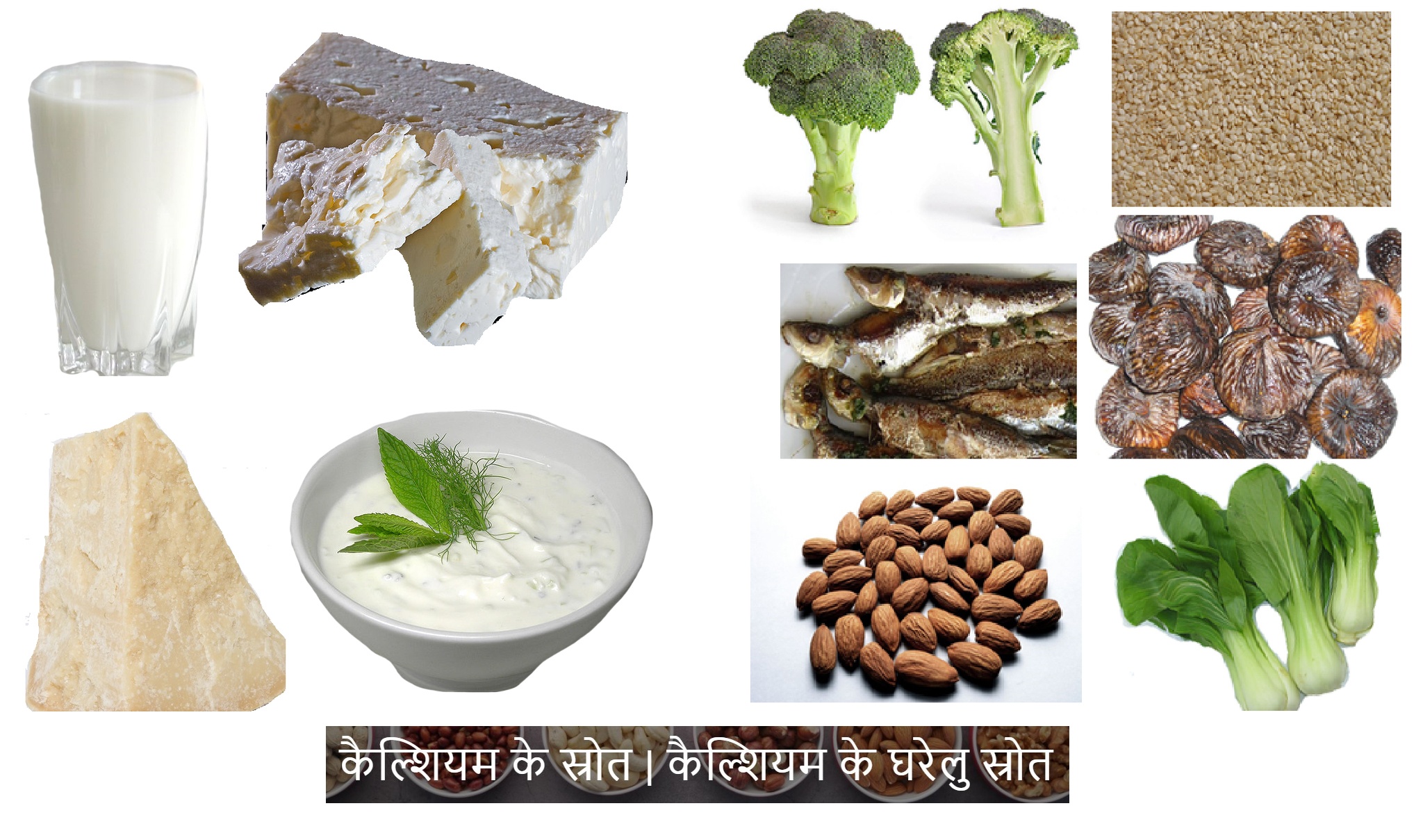 कैल्शियम के स्रोत